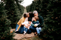 Meyer Tree Farm